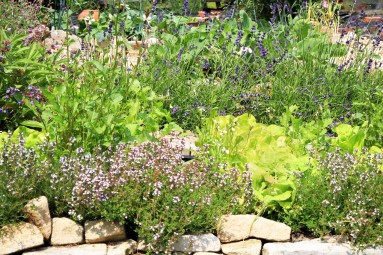Omas Bauerngarten
