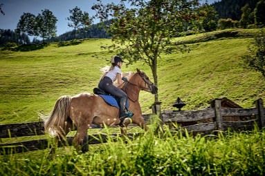 Reiten am Bruckreiterhof