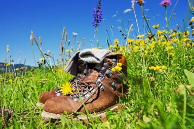 Urlaub am Bruckreiterhof mitten in der Natur