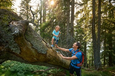 Wandern in Schladming Dachstein
